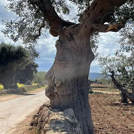 La Marinella *