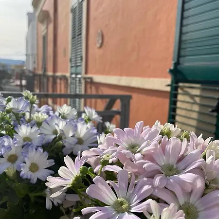 La Marinella Casa vacanze Faccia di Trippa di Monte